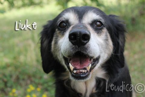 Liuke